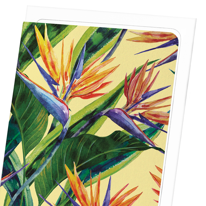 BIRDS OF PARADISE: Painting Greeting Card