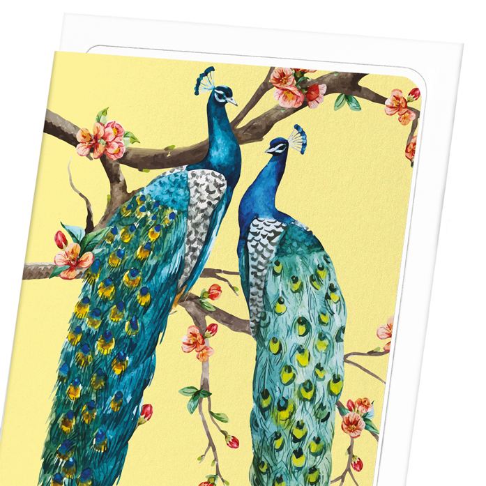 COUPLE OF PEACOCKS: Painting Greeting Card