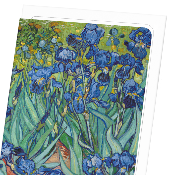 IRISES BY VAN GOGH: Painting Greeting Card