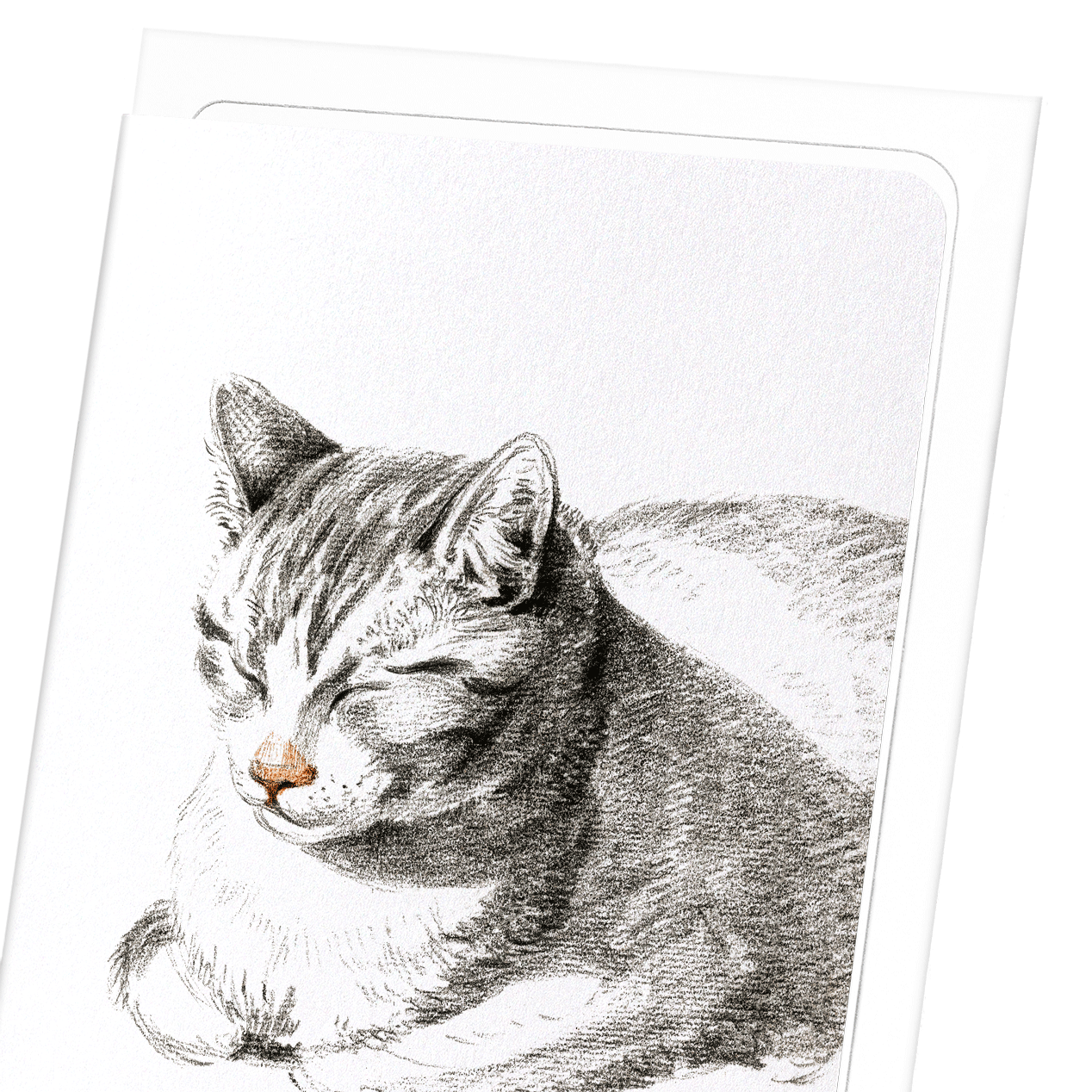 LYING CAT DIAGONALLY (1808): Painting Greeting Card