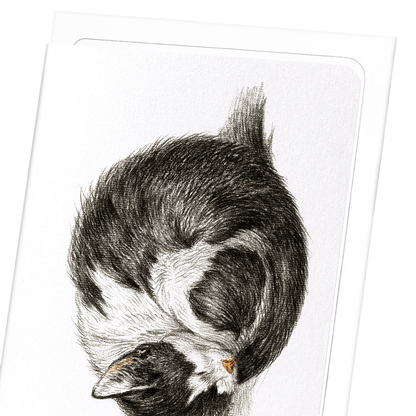 CURLED UP SLEEPING CAT (1825): Painting Greeting Card