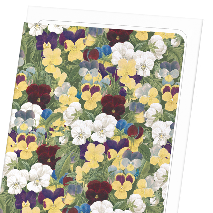 PANSIES: Pattern Greeting Card