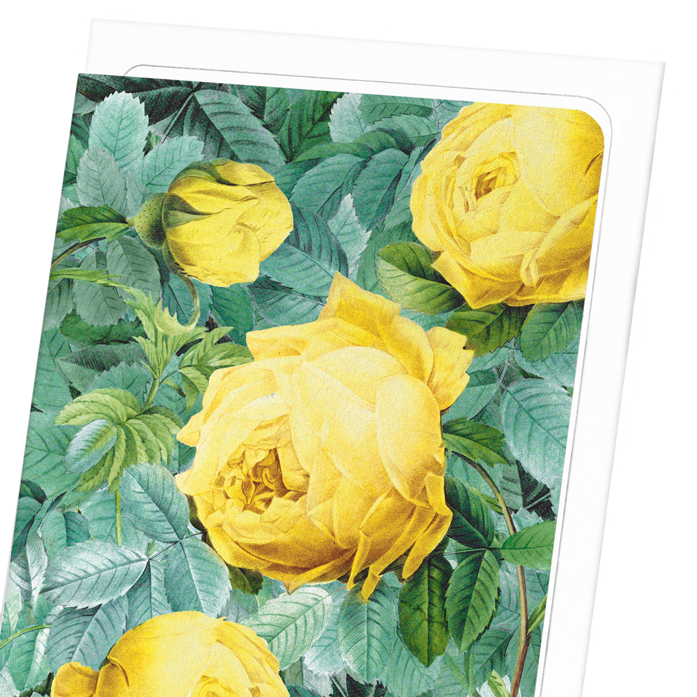 ROSA SULFUREA: Pattern Greeting Card