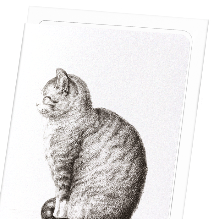 SITTING CAT (1815): Painting Greeting Card