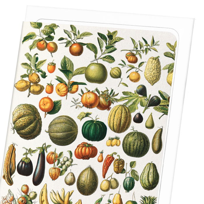 FRUITS (1898): Painting Greeting Card
