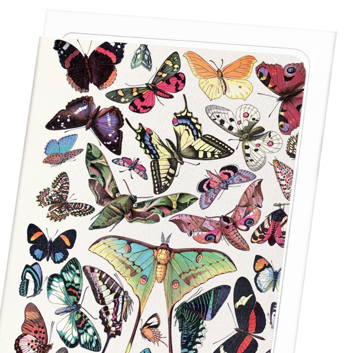 BUTTERFLY (1907): Painting Greeting Card