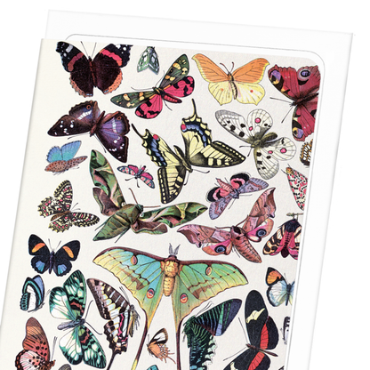 BUTTERFLY (1907): Painting Greeting Card