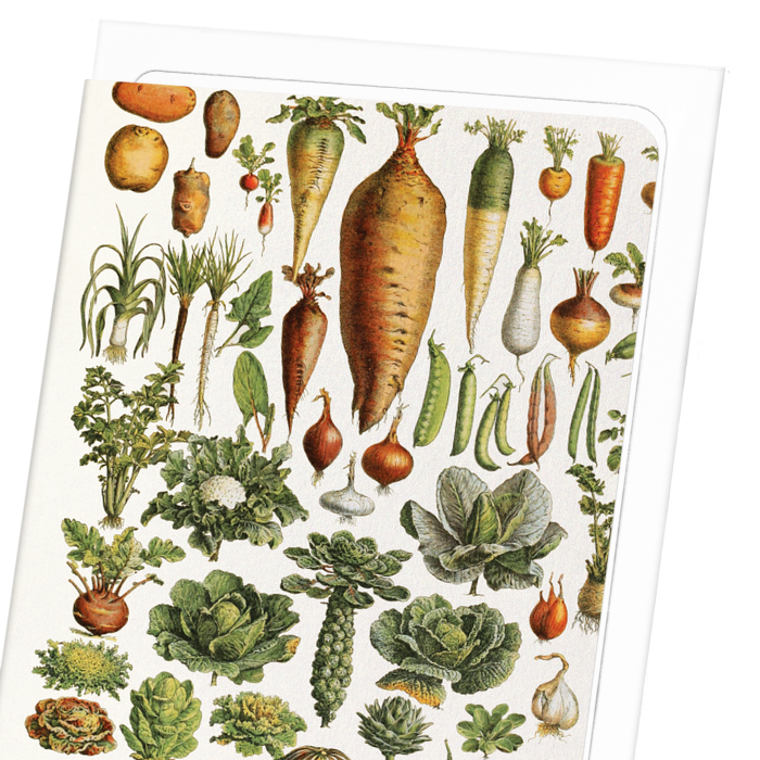 GARDEN VEGETABLES (1922): Painting Greeting Card