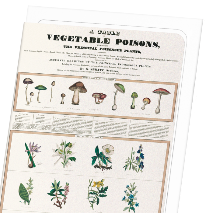 POISONOUS MUSHROOMS (1843): Botanical Greeting Card