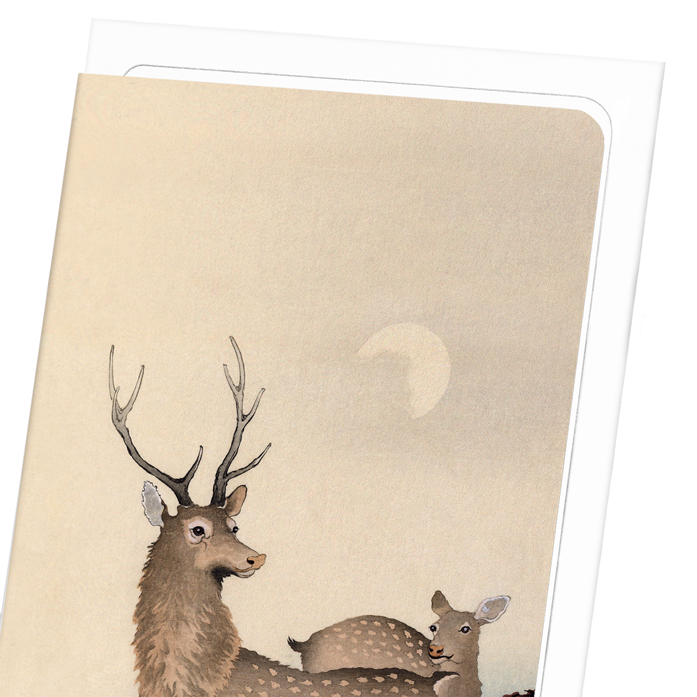 TWO DEER AND MAPLE: Japanese Greeting Card