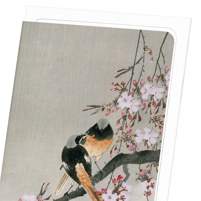 REDSTARTS AND CHERRY: Japanese Greeting Card