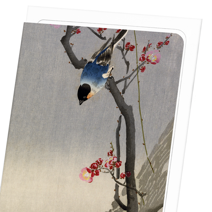 BULLFINCH BIRD: Japanese Greeting Card