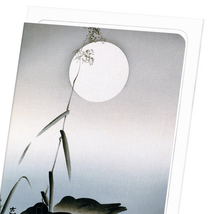 TWO SLEEPING MALLARDS: Japanese Greeting Card