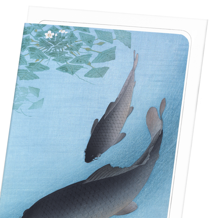 COUPLE OF CARPS: Japanese Greeting Card