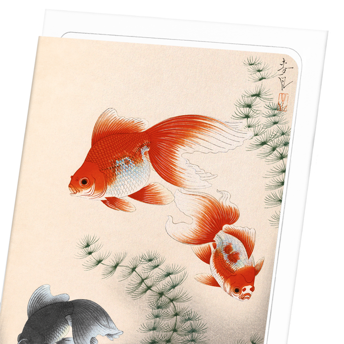 GOLDFISH: Japanese Greeting Card