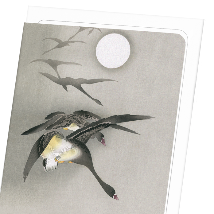 WHITE-FRONTED GEESE IN FLIGHT: Japanese Greeting Card