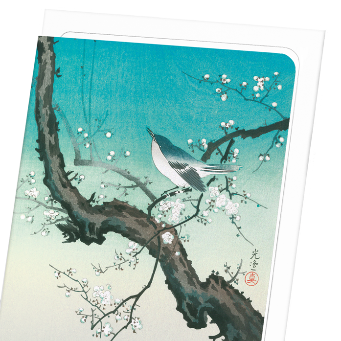 BUSH WARBLER AND PLUM BLOSSOMS: Japanese Greeting Card