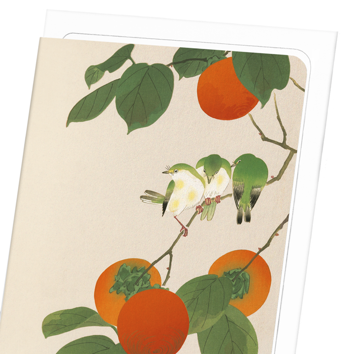 WHITE-EYE BIRDS AND PERSIMMON FRUITS: Japanese Greeting Card