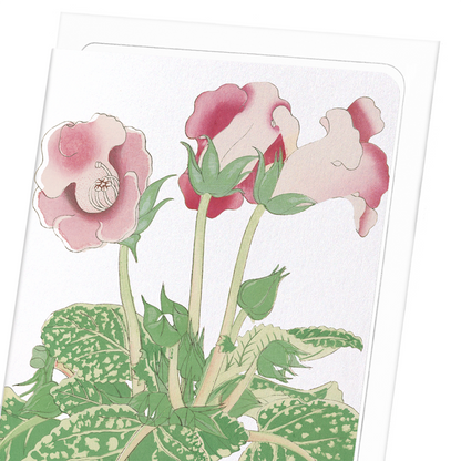 GLOXINIA FLOWER (C.1910): Japanese Greeting Card