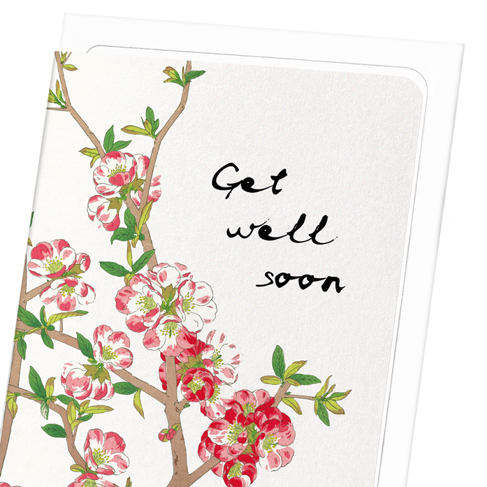 GET WELL SOON QUINCE FLOWERS: Japanese Greeting Card