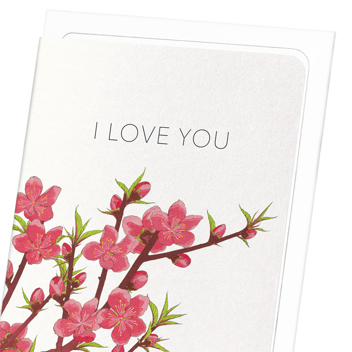 PEACH BLOSSOM OF LOVE: Japanese Greeting Card