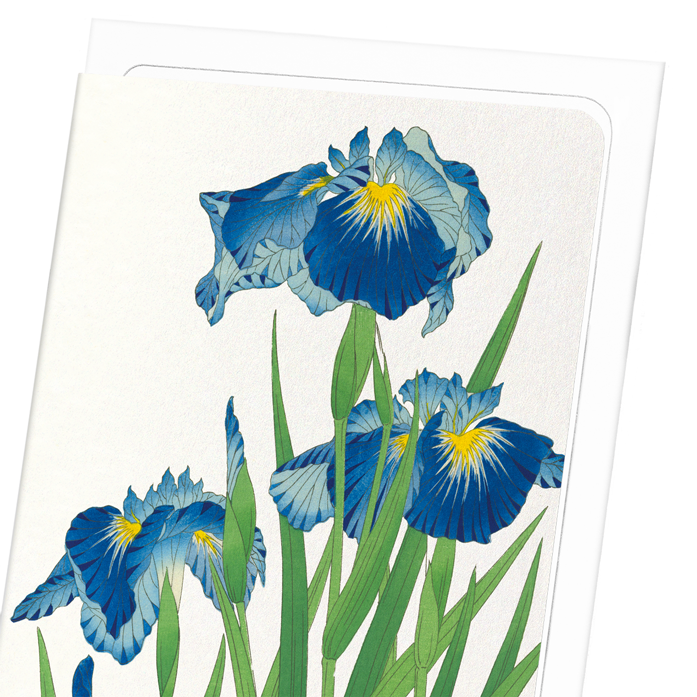 BLUE IRIS: Japanese Greeting Card