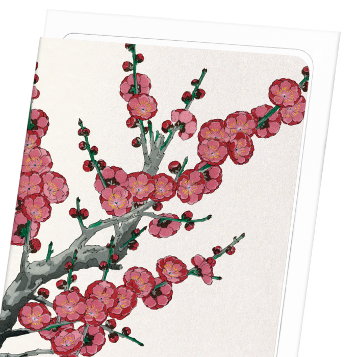RED PLUM BLOSSOM (1953): Japanese Greeting Card