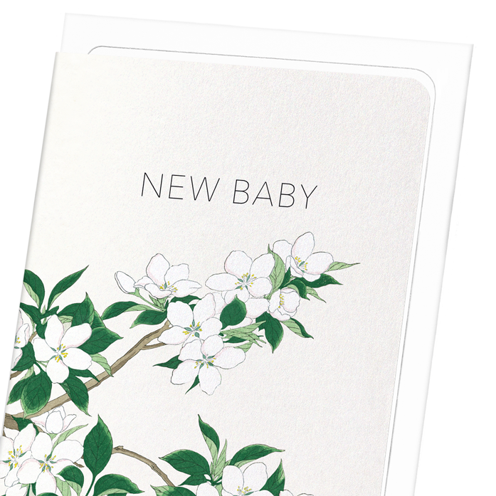NEW BABY APPLE BLOSSOMS: Japanese Greeting Card