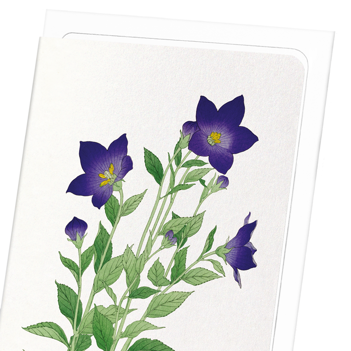 PURPLE BELL FLOWER: Japanese Greeting Card