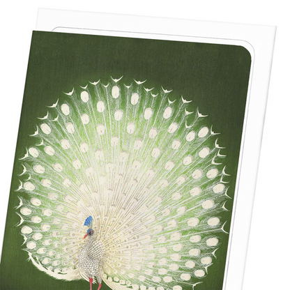 WHITE PEACOCK: Japanese Greeting Card