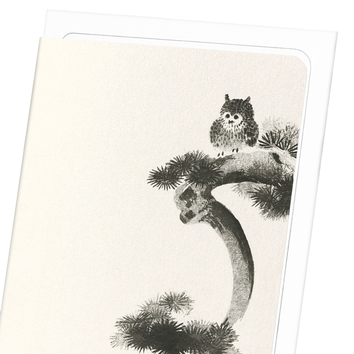 OWL ON PINE TREE: Japanese Greeting Card