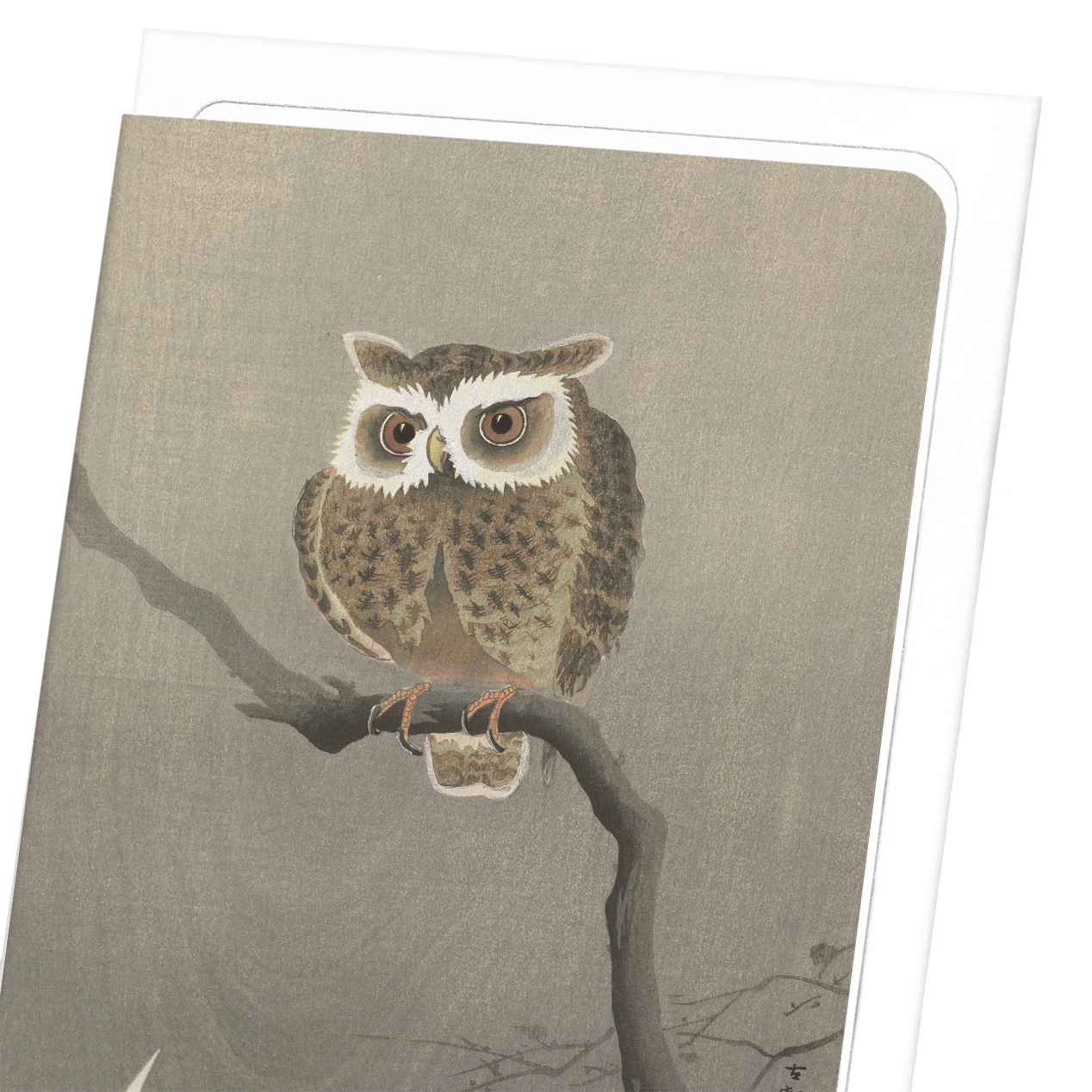 LONG-EARED OWL ON TREE BRANCH: Japanese Greeting Card