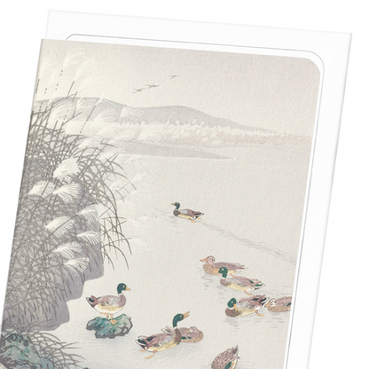 DUCKS IN THE WATER (1931): Japanese Greeting Card