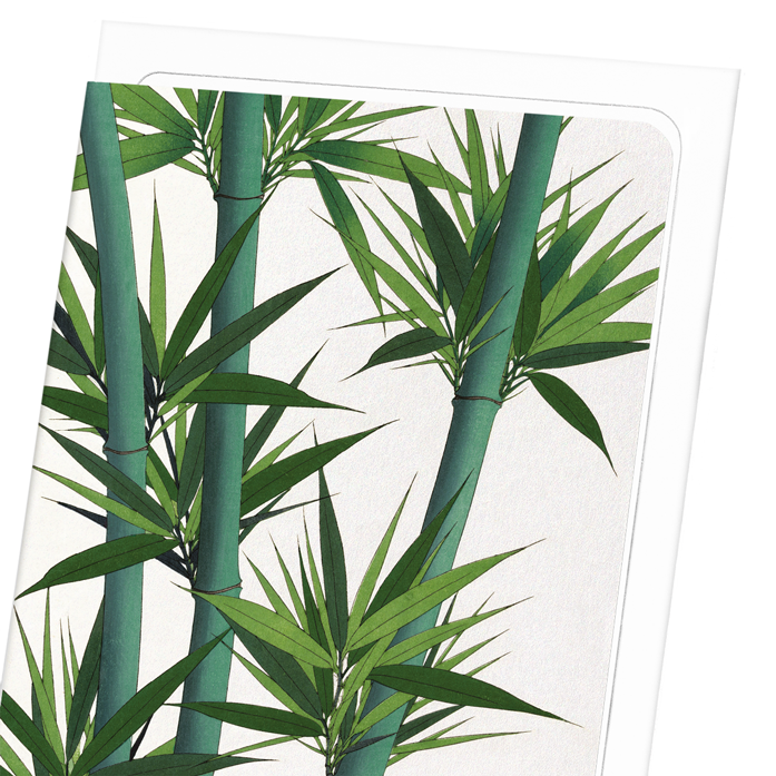 BAMBOO NO.2: Japanese Greeting Card