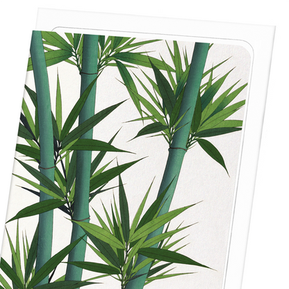 BAMBOO NO.2: Japanese Greeting Card