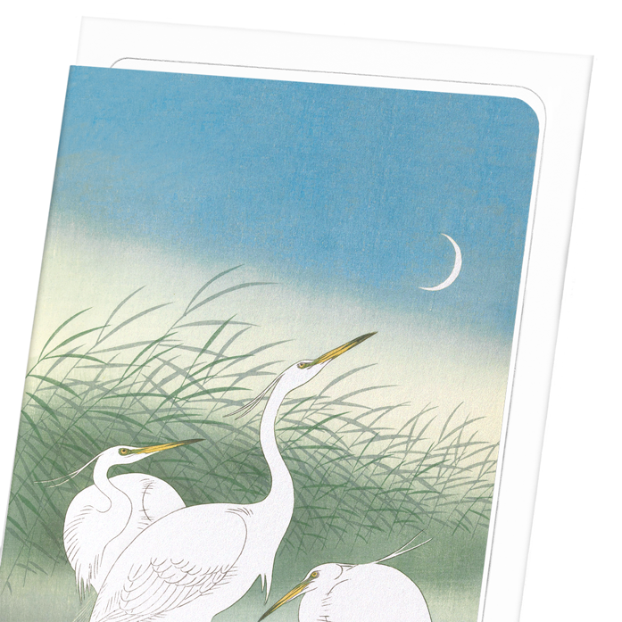 HERONS IN SHALLOW WATER: Japanese Greeting Card