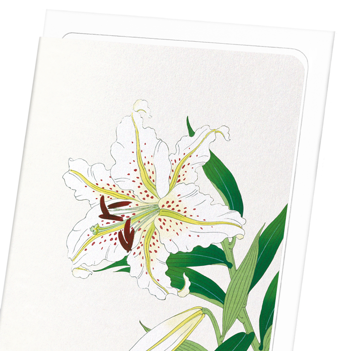 LILY: Japanese Greeting Card