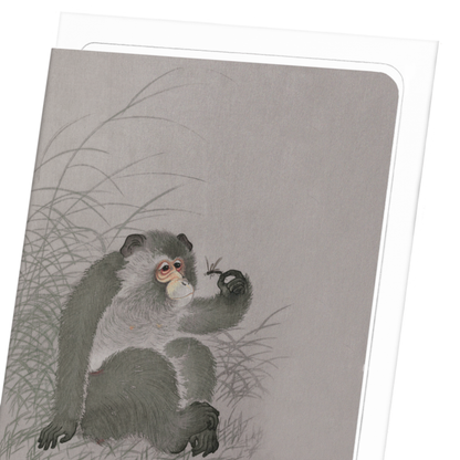 MONKEY WITH INSECT (TEST): Japanese Greeting Card