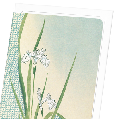 KIMONO HEM - IRISES (1899): Japanese Greeting Card