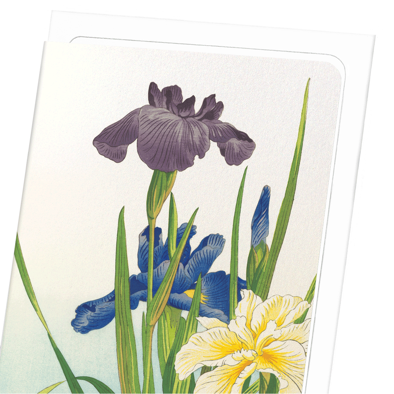 THREE IRIS FLOWERS (1937): Japanese Greeting Card