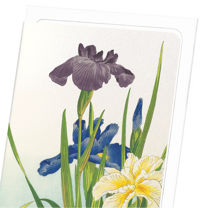 THREE IRIS FLOWERS (1937): Japanese Greeting Card