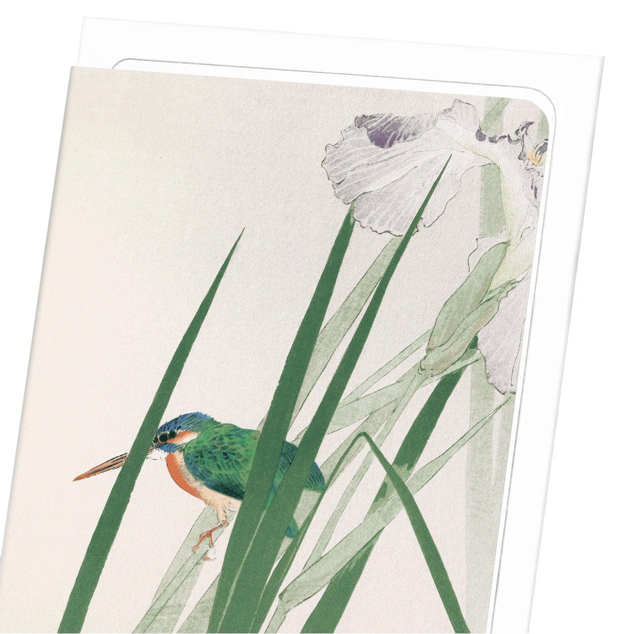 KINGFISHER AND IRIS (C.1900): Japanese Greeting Card