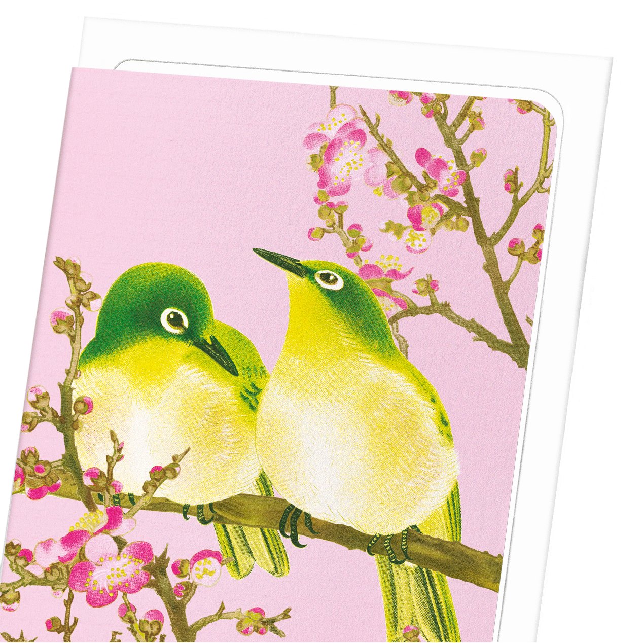WARBLING WHITE-EYE WITH PLUM BLOSSOMS (C.1930): Japanese Greeting Card