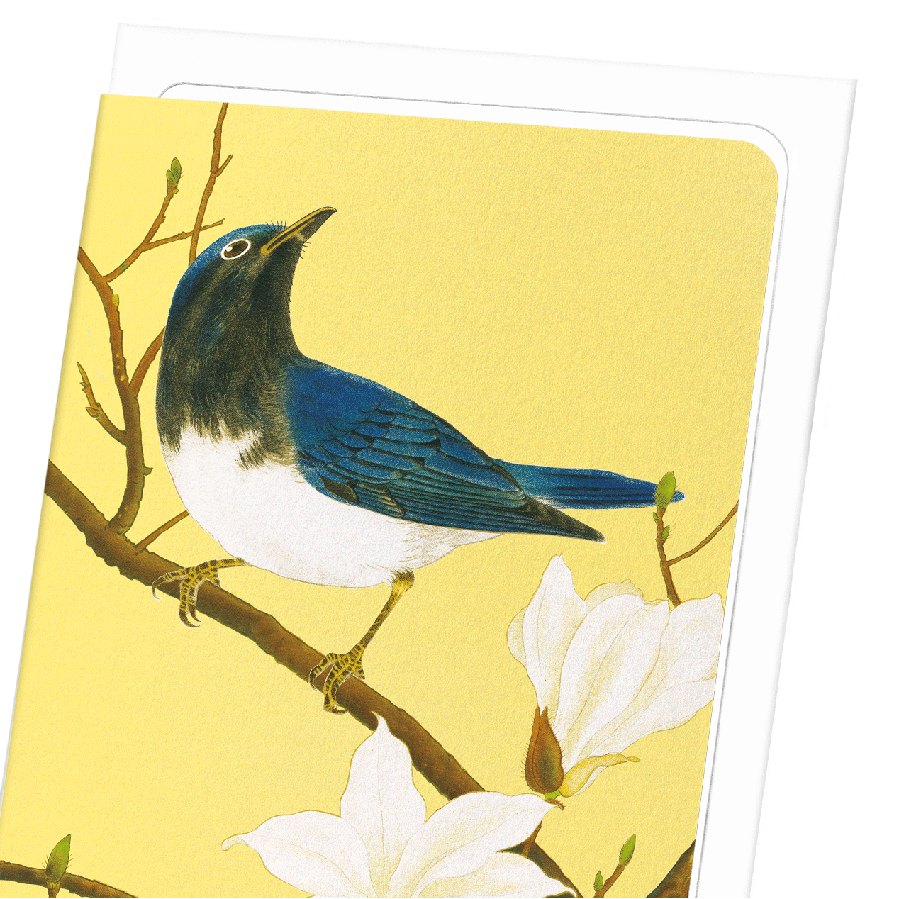 BLUE-AND-WHITE FLYCATCHER AND MAGNOLIA TREE (C.1930): Japanese Greeting Card