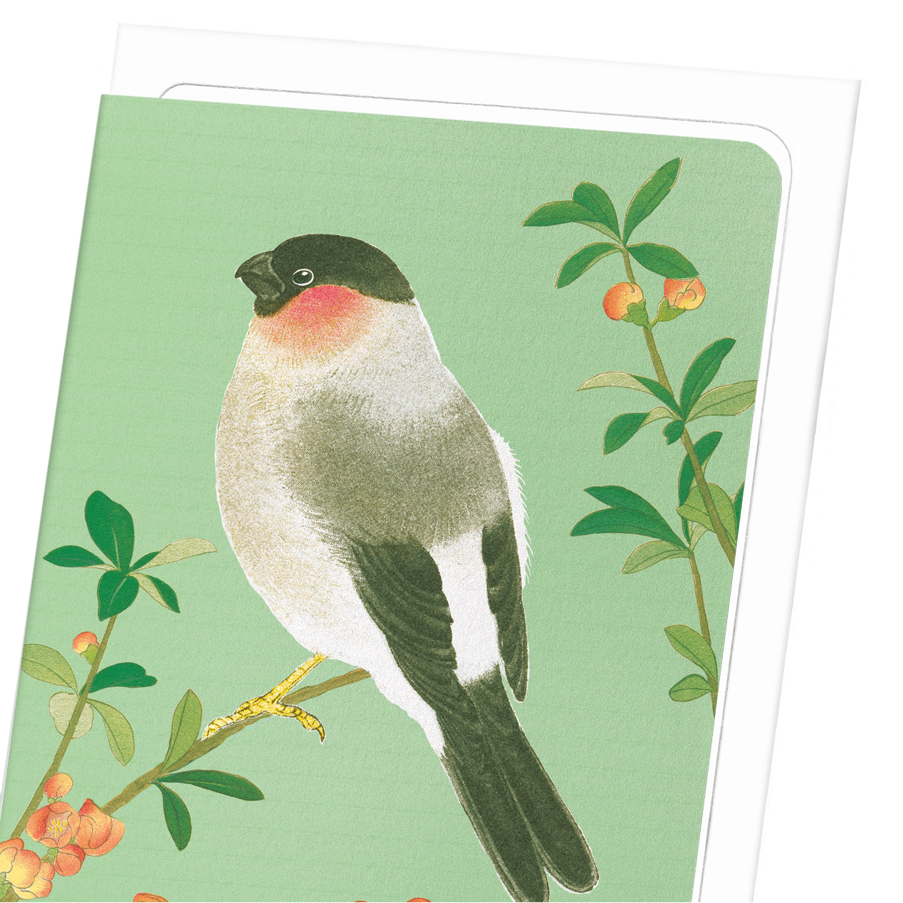 EURASIAN BULLFINCH WITH CHINESE QUINCE (C.1930): Japanese Greeting Card