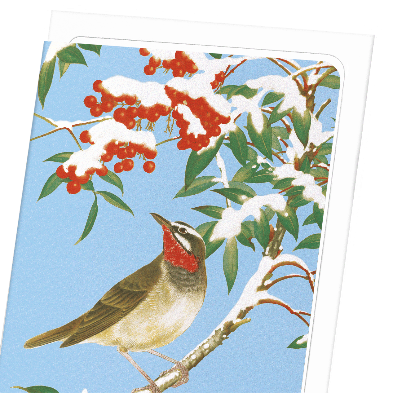 CALLIOPE BIRD WITH NANDINA (C.1930): Japanese Greeting Card