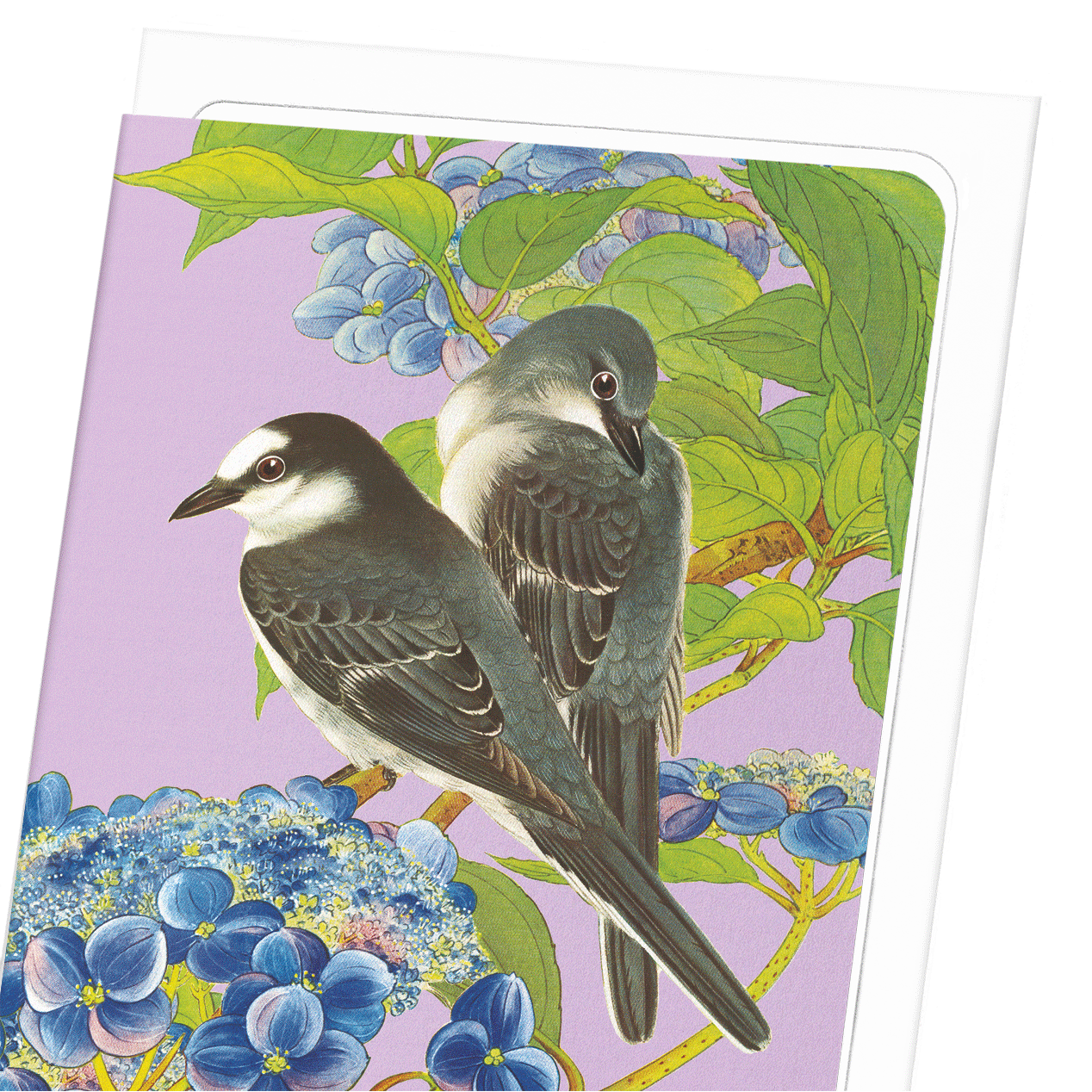 ASHY MINIVET BIRDS WITH HYDRANGEA (C.1930): Japanese Greeting Card