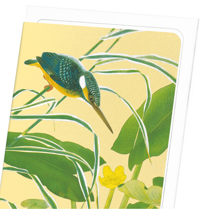 KINGFISHER WITH EAST ASIAN YELLOW WATER-LILY (C.1930): Japanese Greeting Card