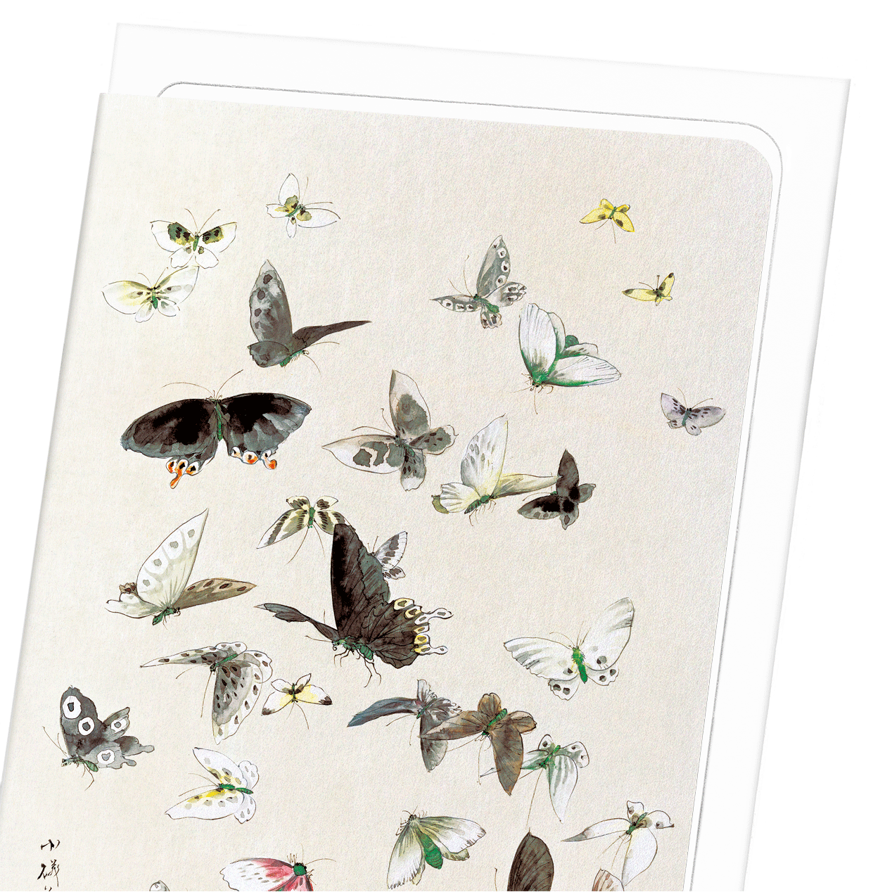 BUTTERLFLIES AND MOTHS (1830-1850): Japanese Greeting Card