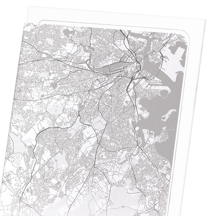 BOSTON FULL MAP: Map Full Art Print